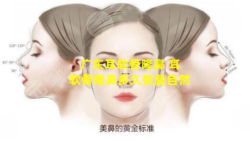 广东耳软骨隆鼻 耳软骨隆鼻多久恢复自然